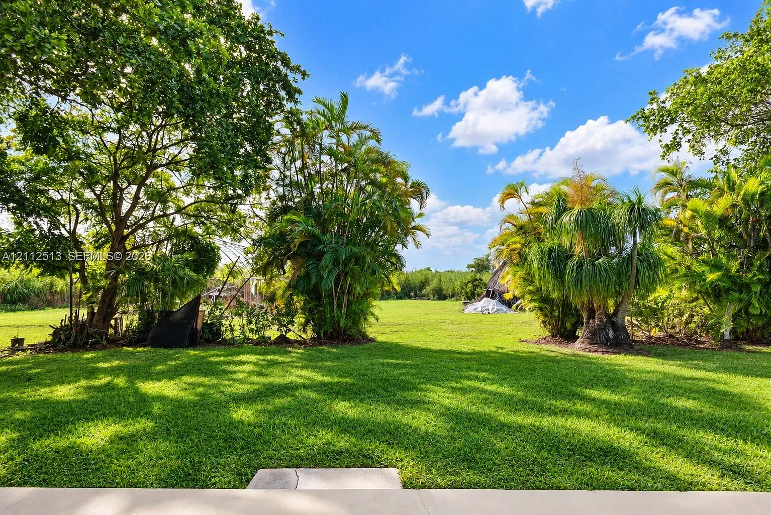3 bed, 2.5 bath, 2229 sqft, $3,800 — Photo 4