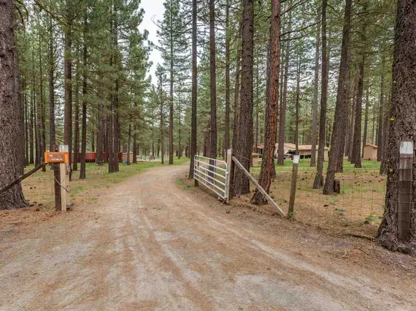6952 Timber Ln, Portola, CA 96122