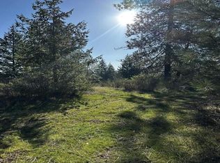 N Waldrons Ln, Chattaroy, WA 99003