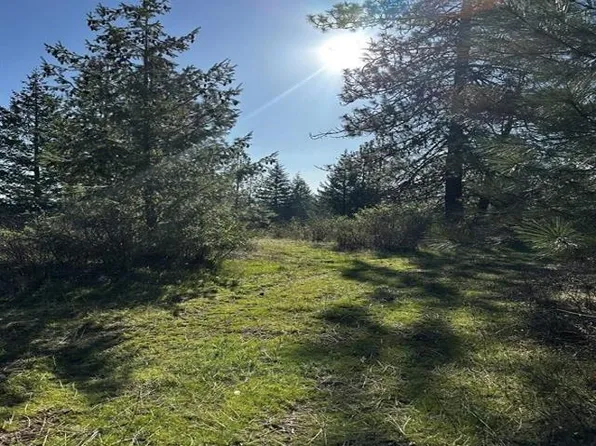 N Waldrons Ln, Chattaroy, WA 99003
