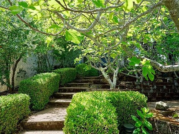 Fig tree grove