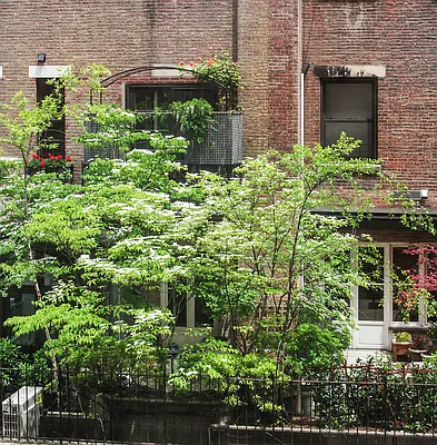 Sold by Corcoran | media 4