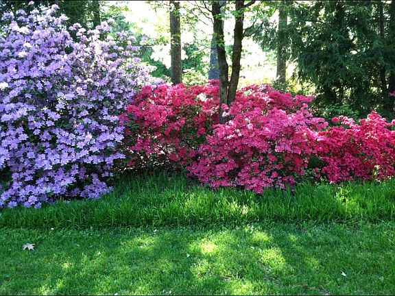 View from front porch in spr