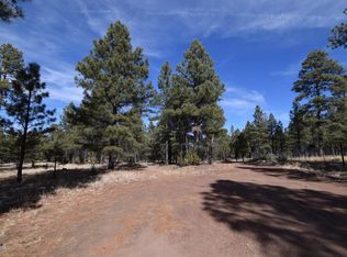 Tbd Mud Creek Rd, Overgaard, AZ 85933