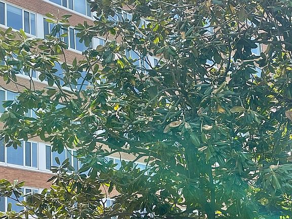 4th image of 5100 Monument Ave