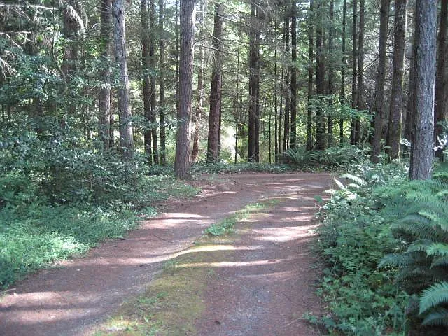 NE New Brooklyn Rd, Bainbridge Island — Photo 2