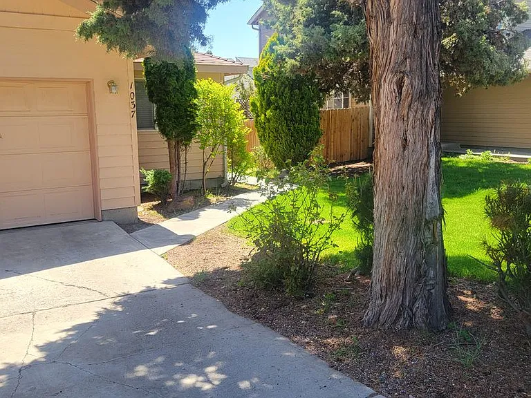 Hidden Valley 1037-1039 — Photo 18