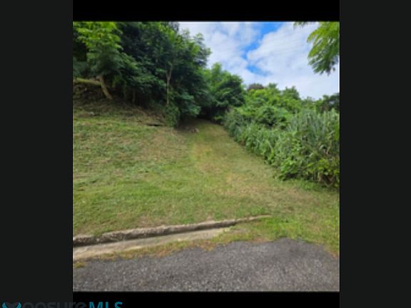 2nd image of 5 Carr Rio Grande Terreno Y #115-6