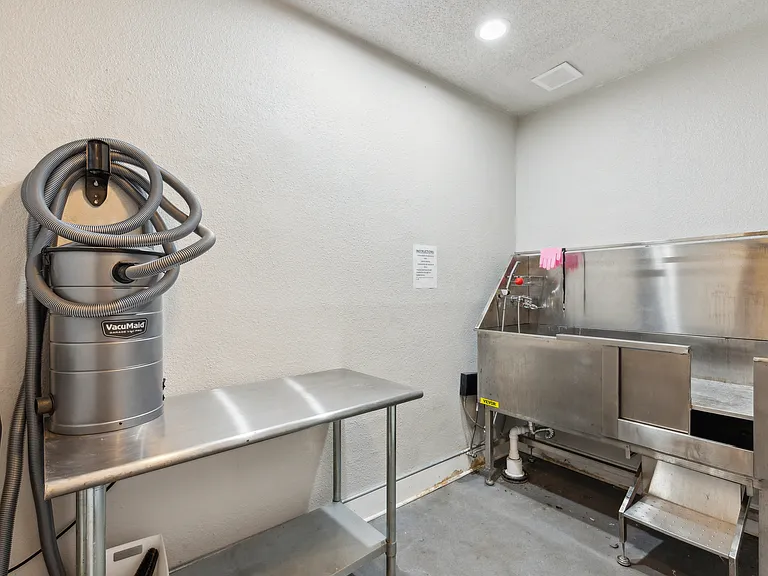 Pet Washing Station