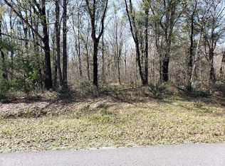 10325 W Deep Creek Blvd, Hastings, FL 32145