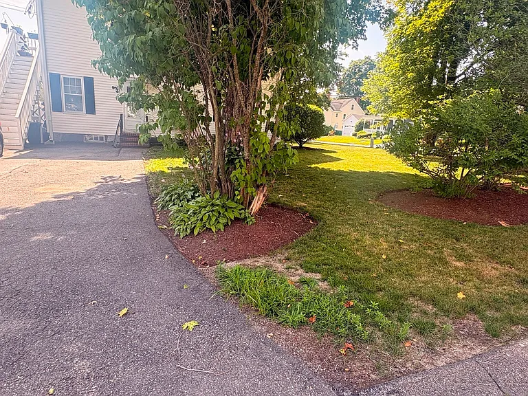 17 Oak St #1 — Photo 16