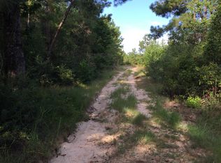 FM3325 Off Highway 255, Colmesneil, TX 75938