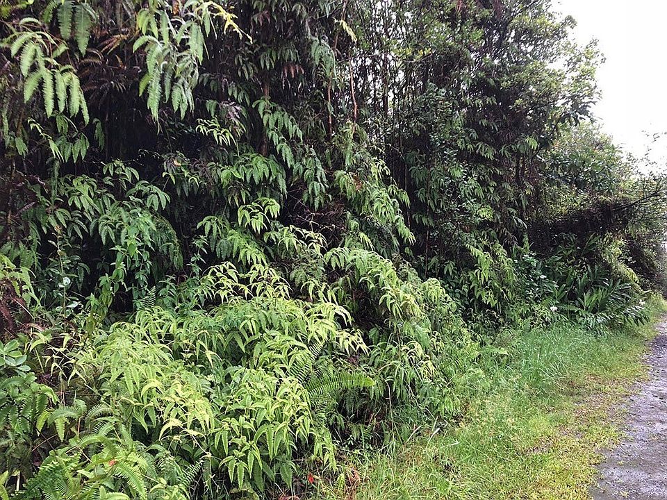 1st image of Maui St Lot 13