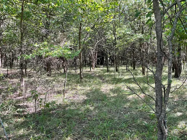 000 W Farm Road 116 - Tract 4, Bois D Arc, MO 65612