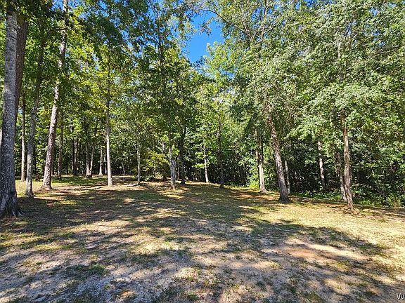 4th image of 8 Horseshoe Bend Dr #I
