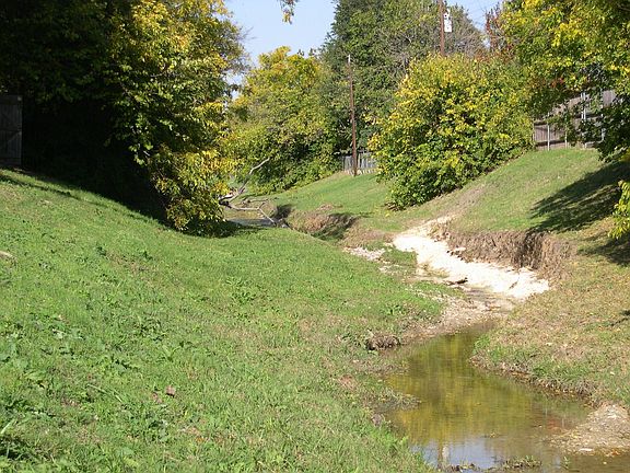 Fish habitat spring fed