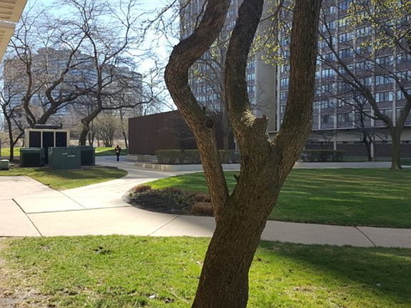 2nd image of 4800 S Lake Park Ave APT 1008