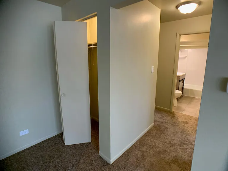 Living Room Closet