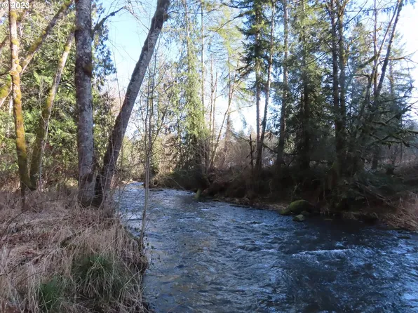 Winston Creek Rd #6, Mossyrock, WA 98564