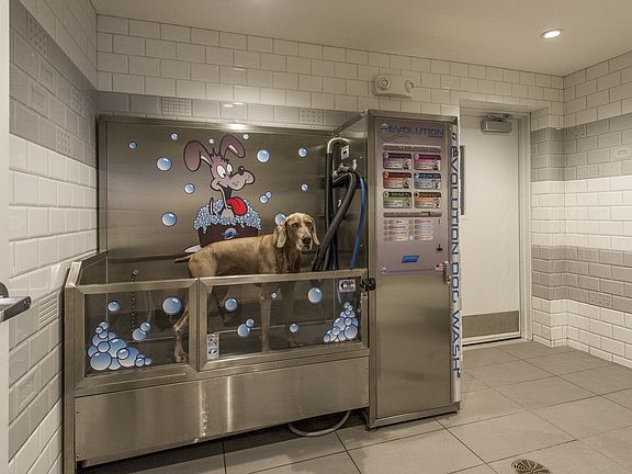 Pet Spa