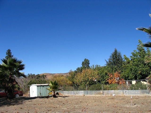 large back yard