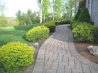 Paver Walkways