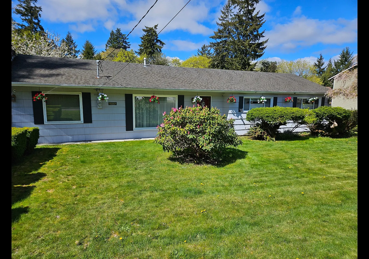 Yearley Dr NE, Olympia — Photo 2