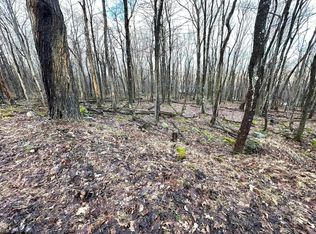 112 & 113 Woodbine Dr, Terra Alta, WV