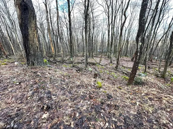 112 & 113 Woodbine Dr, Terra Alta, WV 26764