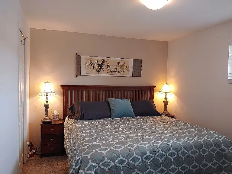 Bedroom with walk-in closet