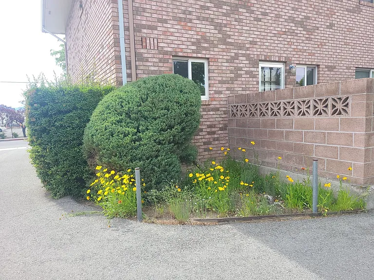 Harvard Way 1100 — Photo 23