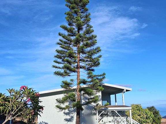Studio Cottage Side w/Washer & Dryer