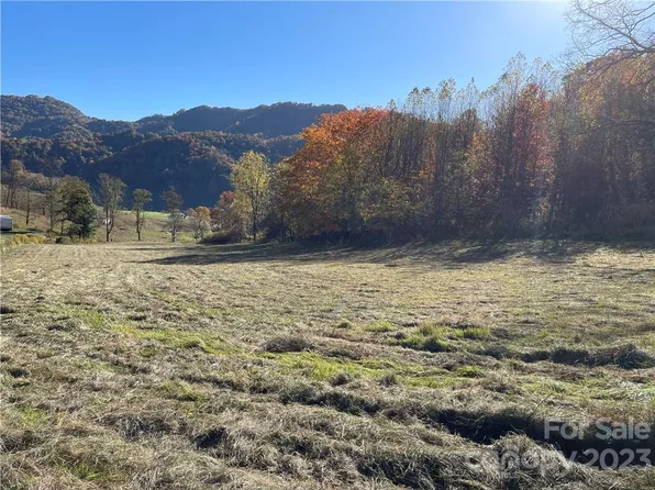 Clark Rd, Clyde, NC 28721