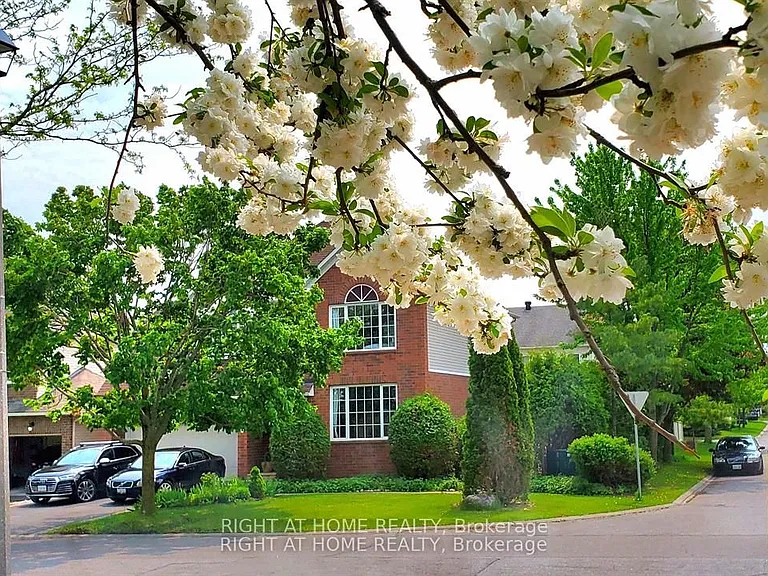 142 Windhurst Dr — Photo 6