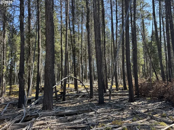 Cloudcap Dr #6, Chiloquin, OR 97624