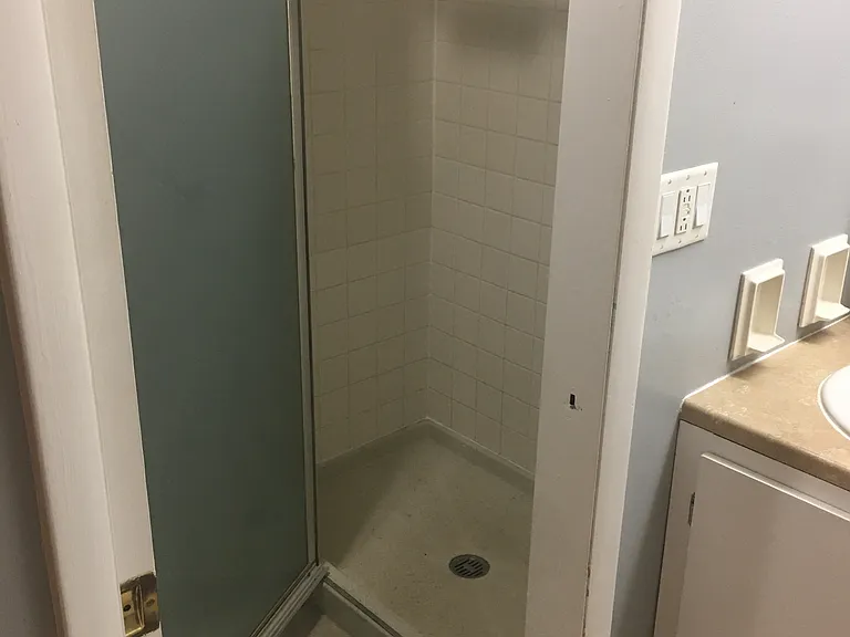 Master shower (no tub)