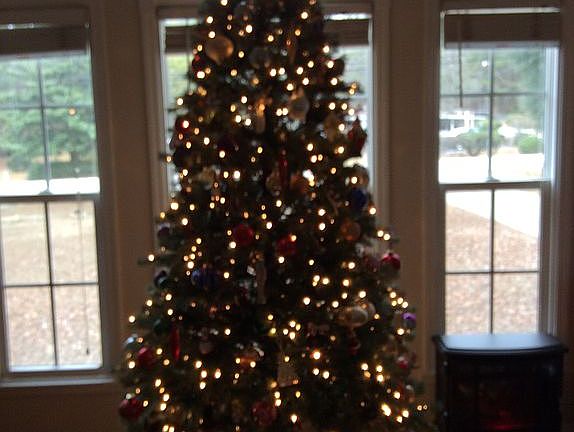 Living room vauled ceiling