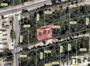 27535 Jean Ave, Paisley, FL 32767