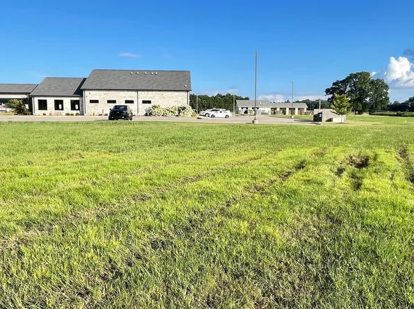 65 Garrett Dr, Medina, TN 38355