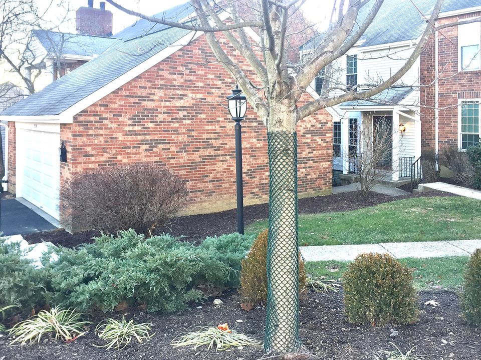 1st image of 3534 Forestoak Ct