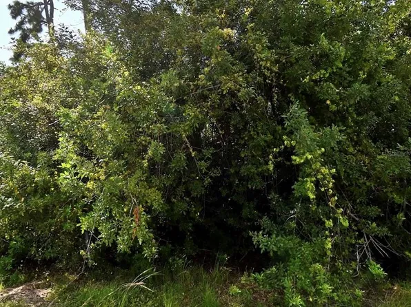 MAP AVENUE LOT 25, NORTH PORT, FL 34286