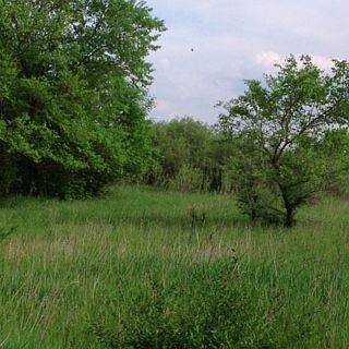 2nd image of 31285 County Road 12