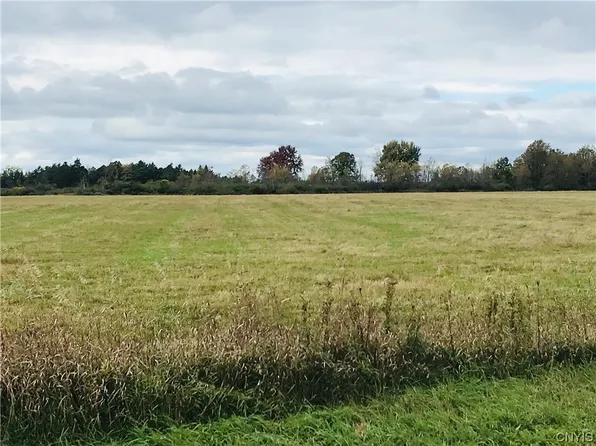 LOT Fifteen Co Rte #125, Chaumont, NY 13622