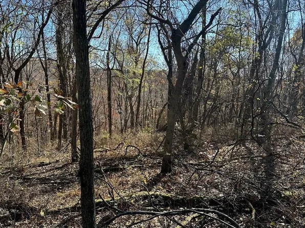 Aster Dr #281, Rogers, AR 72756