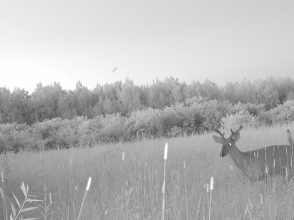 1st image of 19 W Mile Rd