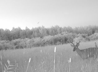 19 W Mile Rd, Rudyard, MI 49780