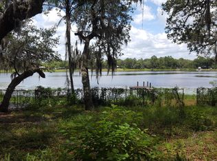10639 NE 224th Place Rd, Fort Mc Coy, FL 32134