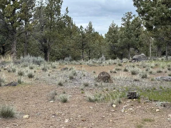 9-1 Lamplighter Pl Lot 157, Weed, CA 96094