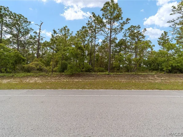 9200 N Citrus Springs Blvd, Citrus Springs, FL 34433