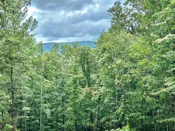 315 Pebble Trce, Talking Rock, GA 30175
